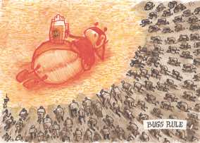 Tekening voor 'Gus Dirks' themanummer Pure Fruit (Kiel BRD)